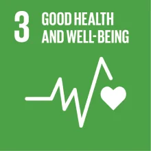 SDG Goals img 2