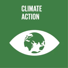 SDG Goals img 7