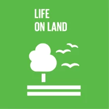 SDG Goals img 9